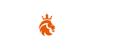 nine casino logo